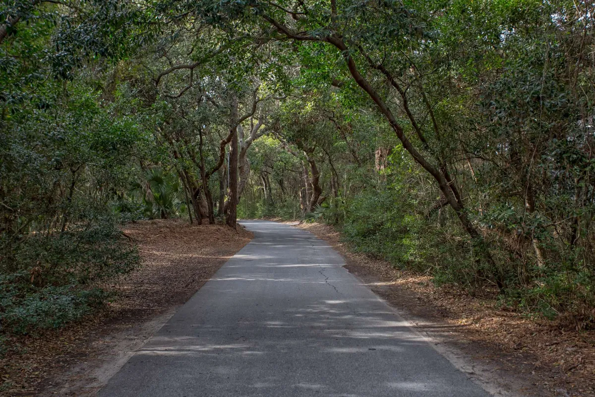 A winding road canopied by lush, mature trees offers a serene and inviting path through the greenery, perfect for biking or golf cart rides. The image suggests adventure, discovery, and the tranquil natural environment of Bald Head Island.